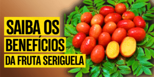 Seriguela fruta