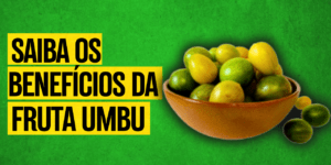 UMBU fruta