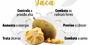 benefícios da jaca