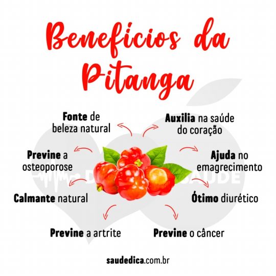 Pitanga: Para que serve, como usar, valor nutricional, benefícios ...