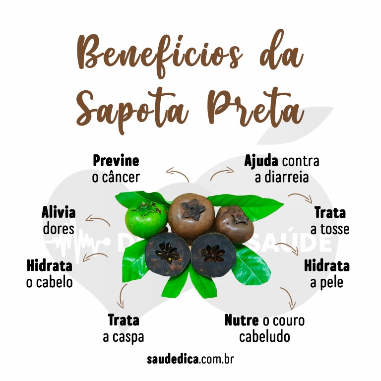 Benefícios da Sapota Preta 