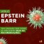 virus epstein barr ou (EBV)