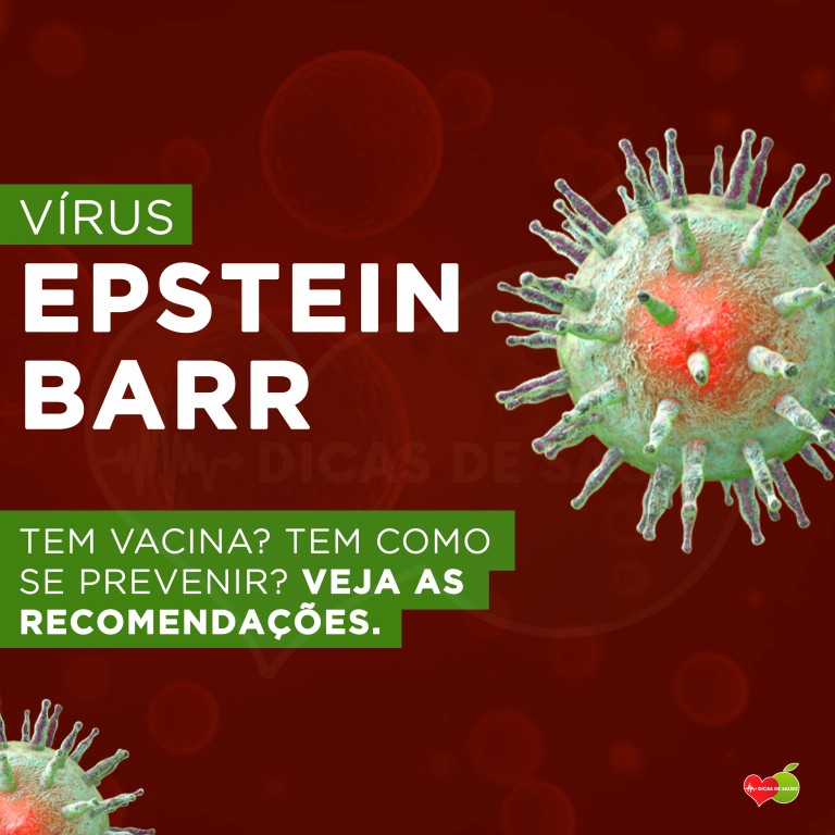 virus epstein barr ou (EBV)