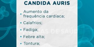 sintomas do fungo candida auris