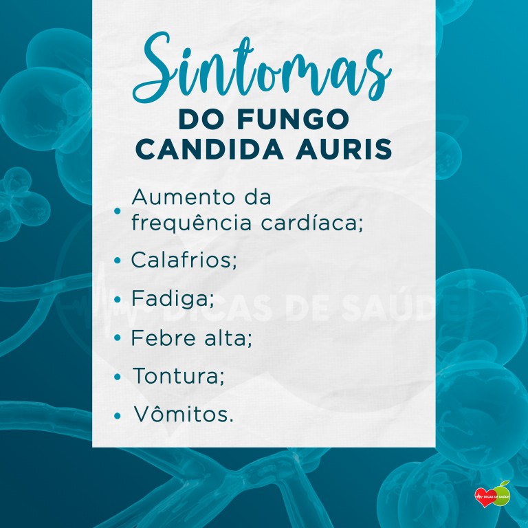 sintomas do fungo candida auris