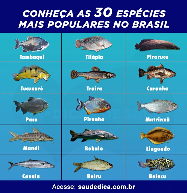 peixes mais populares no brasil