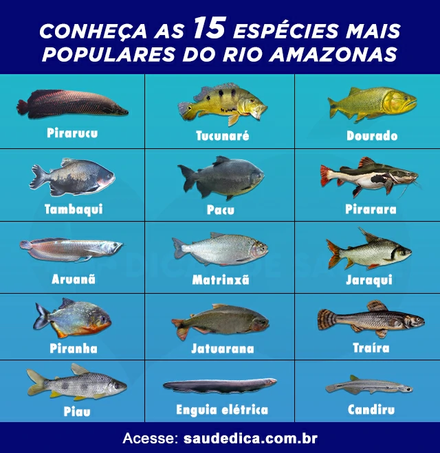 peixes populares do rio amazonas