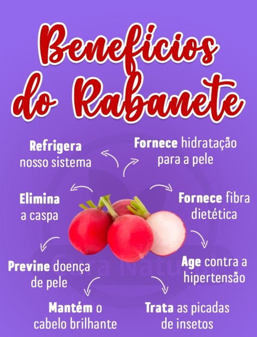 beneficios do rabanete beneficios do rabanete
