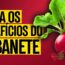 rabanete